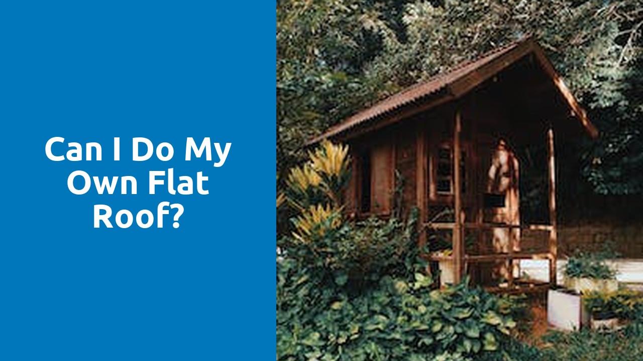 Can I do my own flat roof?