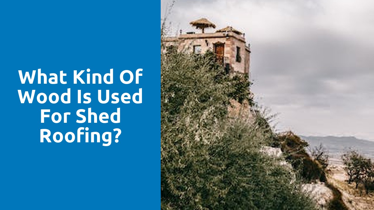 What kind of wood is used for shed roofing?