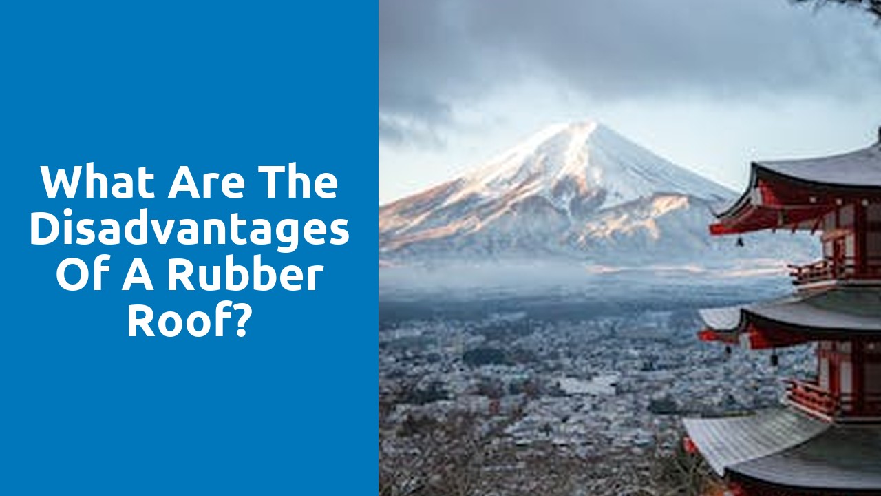 What are the disadvantages of a rubber roof?